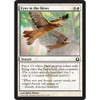 Eyes in the Skies (foil)