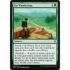 Far Wanderings