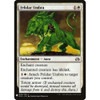 Felidar Umbra