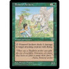 Femeref Archers