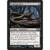 Festering Newt (foil)