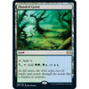 Flooded Grove | Double Masters