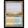 Flooded Strand