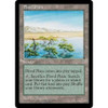 Flood Plain