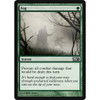 Fog (foil)