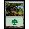 Forest (#299) (foil) | Lorwyn