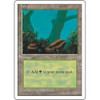 Forest (#3)