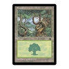 Forest (#3)