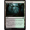 Foul Orchard | Shadows Over Innistrad
