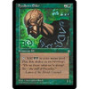 Fyndhorn Elder