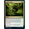 Grisly Salvage