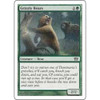 Grizzly Bears