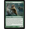 Grizzly Bears (foil)