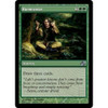 Harmonize  (foil)