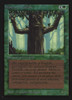 Ironroot Treefolk (Not Tournament Legal)