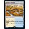 Irrigated Farmland