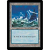 Island (#335)