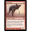 Jackal Pup (foil)