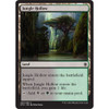 Jungle Hollow (foil)