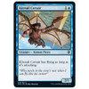 Kitesail Corsair