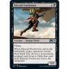 Kitesail Freebooter (foil)