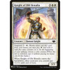 Knight of Old Benalia | Mystery Booster