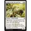 Knight of the Skyward Eye