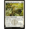 Knight of the Skyward Eye