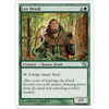 Ley Druid
