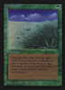 Lifelace (Not Tournament Legal)