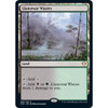 Llanowar Wastes