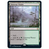 Llanowar Wastes