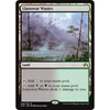 Llanowar Wastes (foil)