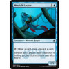 Merfolk Looter (foil)