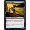 Miasmic Mummy
