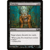 Mind Rot (foil)