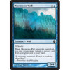 Mnemonic Wall (foil)