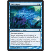 Narcolepsy (foil)