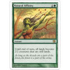 Natural Affinity