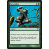 Naturalize (foil)