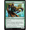 Netcaster Spider
