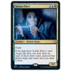 Notion Thief