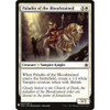 Paladin of the Bloodstained