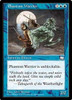 Phantom Warrior