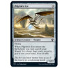 Pilgrim's Eye