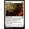 Pitfall Trap