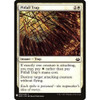 Pitfall Trap