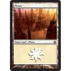 Plains (#250)