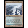 Polluted Delta