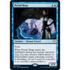 Portal Mage